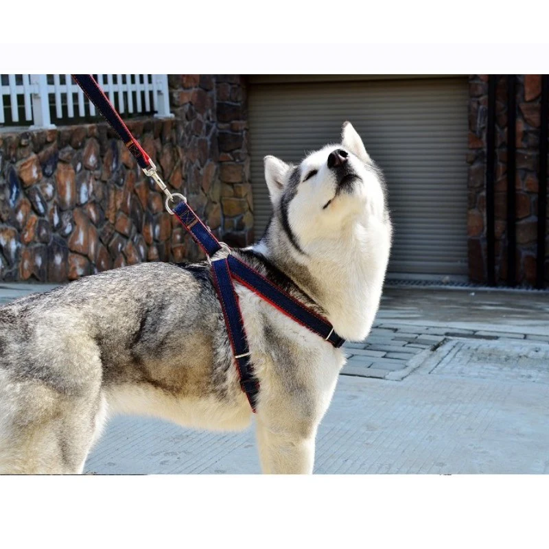 Cowboy Jean Larger Dog Harness Leash Set Outdoor Pet Chest Leash Collar Lead Set For Small Big Dogs Harnesses Pet Supplies(3Col)