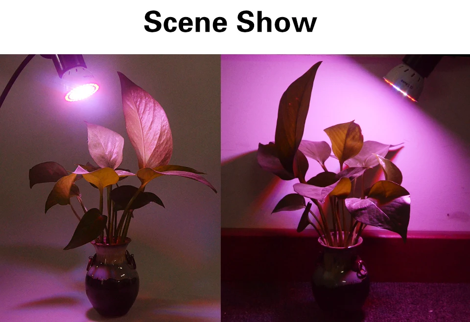 Led Plant Growth Light for Indoor Plants lamps (13)