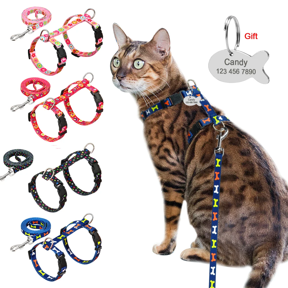 Как надеть шлейку на кошку пошагово в картинках