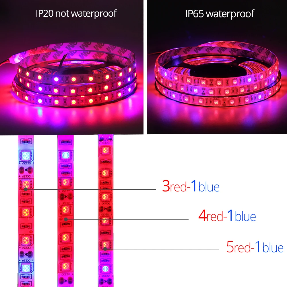 5 м/лот DC12V светодиодный светать 5050 Водонепроницаемый растет Светодиодные ленты роста растений свет комплект с Мощность адаптер и