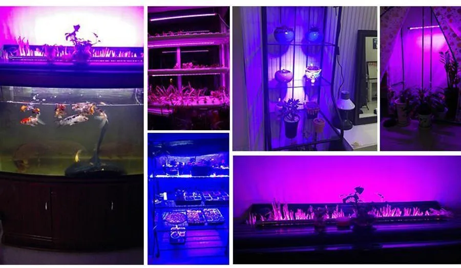 60led/м 5050 полный спектр светодиодные лампы для выращивания водонепроницаемый 5Red 1 синий аквариум светодиодная система освещения для теплицы гидропоники Растениеводство лампа