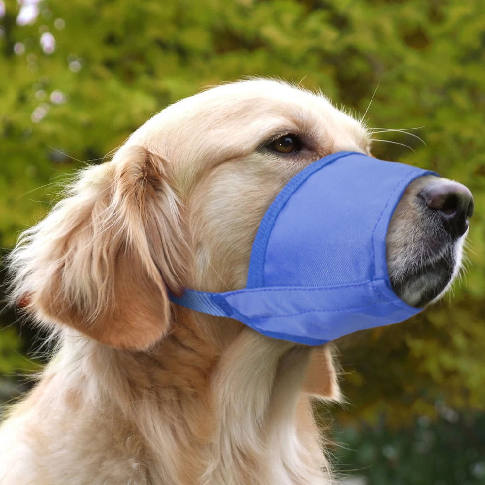 Dog Muzzle Anti Bite Anti Chew Bark Training Product for Pitbull Pet Accessories