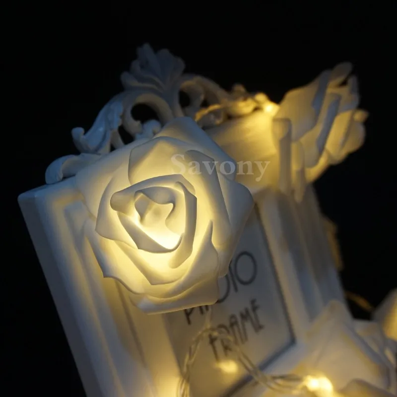 DSC01330 800 800