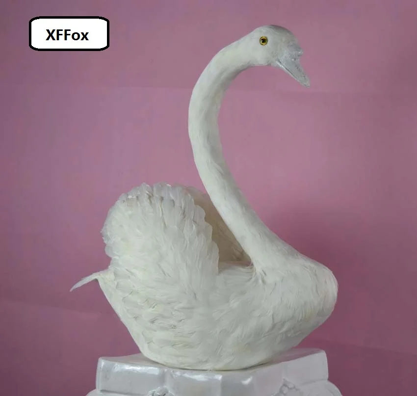 HTB1NJdvMpXXXXcNaXXXq6xXFXXX4
