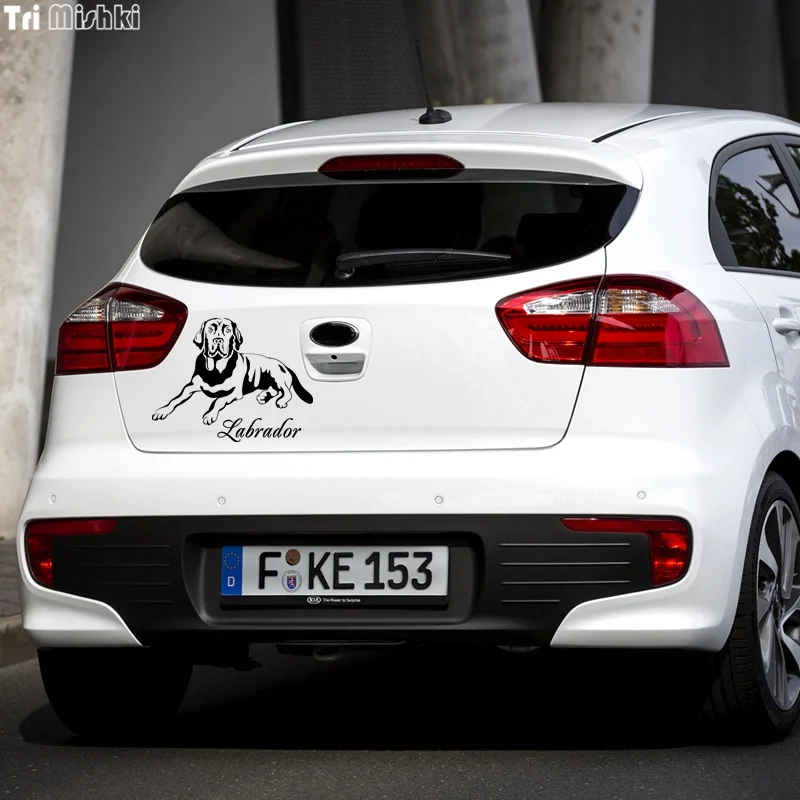 Tri Mishki HZX421 15*19.5см лабрадор наклейки на авто автомобиль наклейка авто|car sticker|car sticker