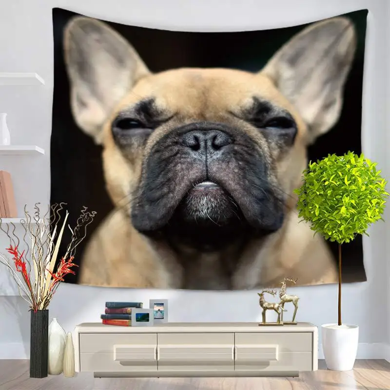 Cammitever Chien Drole Mignon Jeune Drole Chiens Noir Blanc Pet