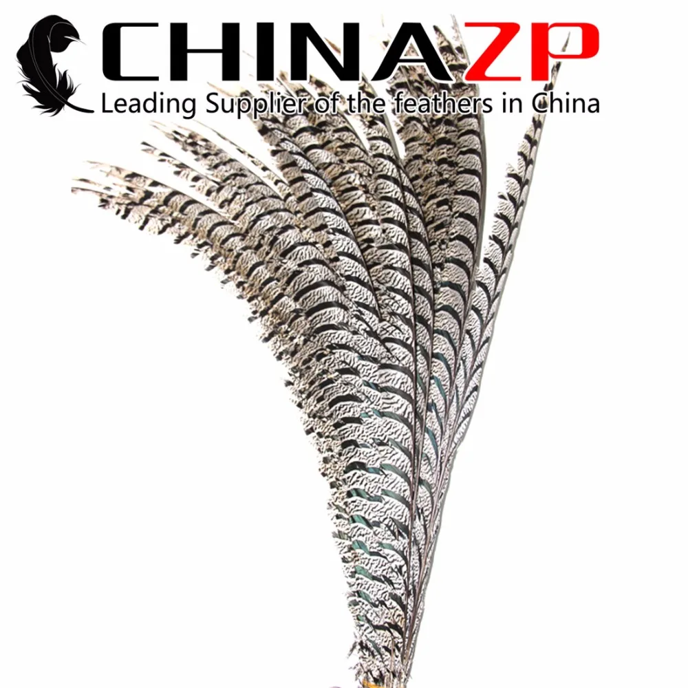 

CHINAZP Pheasant Feather Retail Sale 90 to 100cm Natural Zebra Lady Amherst Pheasant Tail Feathers For Mardi Gras Costume