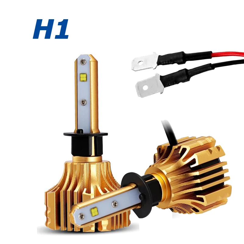 H1
