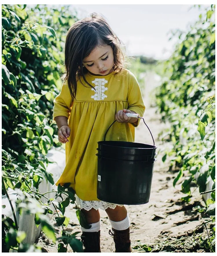 Mother nest 2018 Baby Long Sleeves Yellow Girls Dress Autumn Children Clothing Lace Cotton Toddler Dresses For Party Birthdays (12)