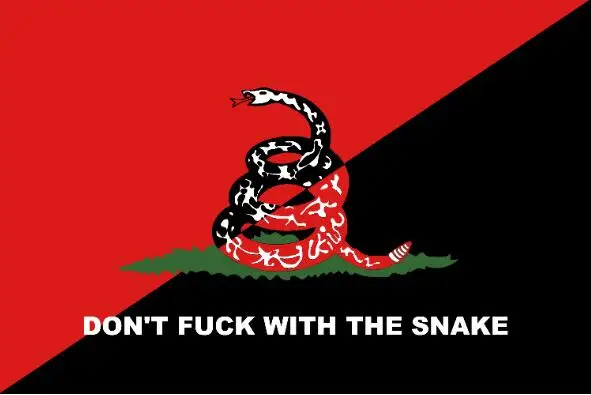 

3x5ft don't tread on me snake BANNER digital print with 2 grommets custom anarcho Anarchism flag