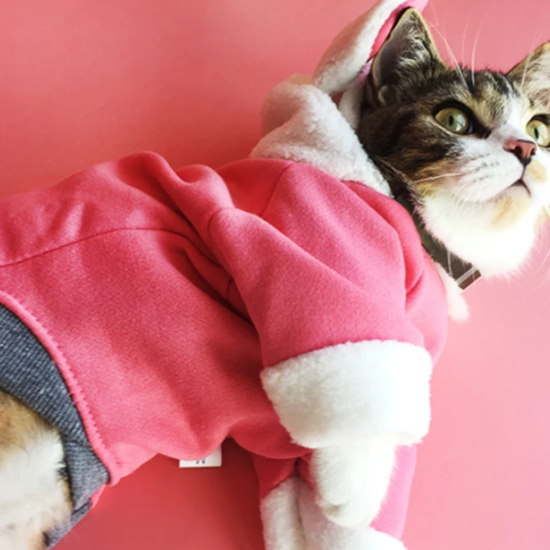 

New hoodie casual cartoon pink pet clothes autumn winter spring cute and cozy polar fleece leisure style XS/S/M/L/XL/2XL