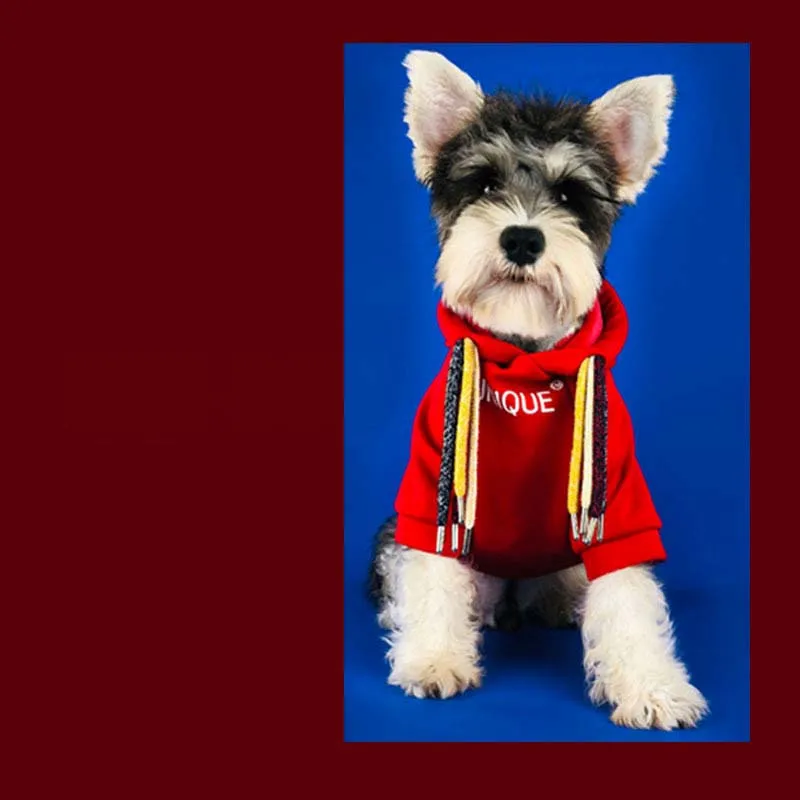 Английская модная толстовка с капюшоном с надписью «Cool Dog», одежда на осень и зиму, два ноги, худи с кошкой для щенков, куртки для маленьких детей, 10E
