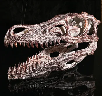 

Simulation Resin Crafts Home Halloween Decorations Accessories Interior Furnishings Exhibition Dinosaur Skull Model