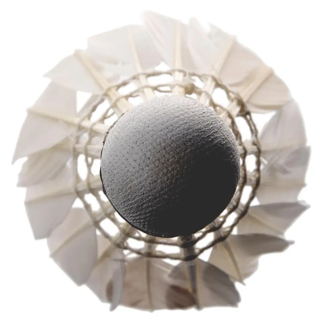 6 piezas blanco plumas volantes de Badminton 6 piezas blanco plumas volantes de Badminton