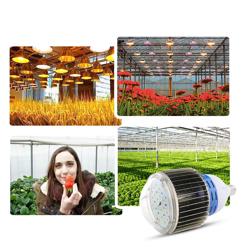 100 Вт CREE xpg3 xpe 660nm полный спектр led grow light для теплицы гидропоники Крытый растут