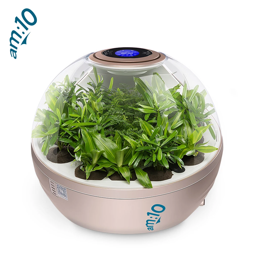 

Desktop Plant Air Humidification Sterilization Purifier Filter Used for Ofiice Home Room for Purifying Air