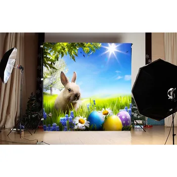 

Easter Backdrop Rabbit Eggs Backgrounds for Photo Studio Background Sunshine Grass Blue Sky Custom Photography Studio Backdrops
