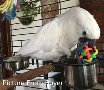 

2pcs/lot Colorful Parrot Toy With Bell Bird Cage Toys Ball Toy For Medium Big Parrot African Grey Bird Supplies D413