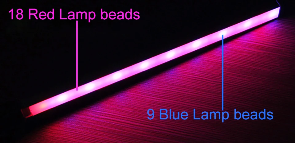 TIM图片20190626113603