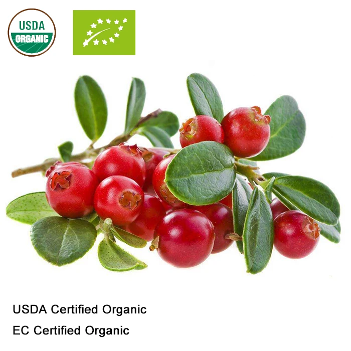 Сертифицированный USDA и EC органический экстракт lingonberry 10:1 антоцианин|Товары для