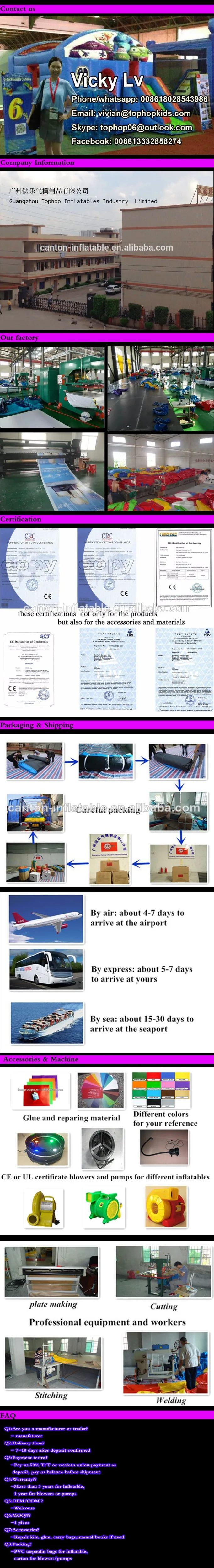 company description model -2