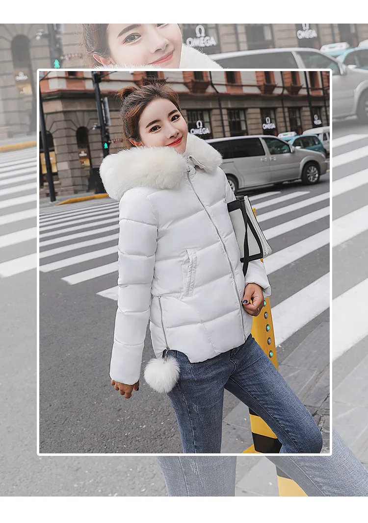 Cotton (18).jpg