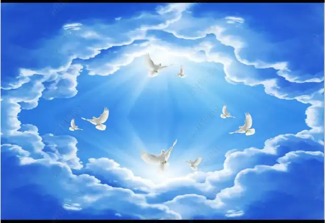 Online Shop Custom Photo Wallpaper 3d Ceiling Wallpaper Fashion