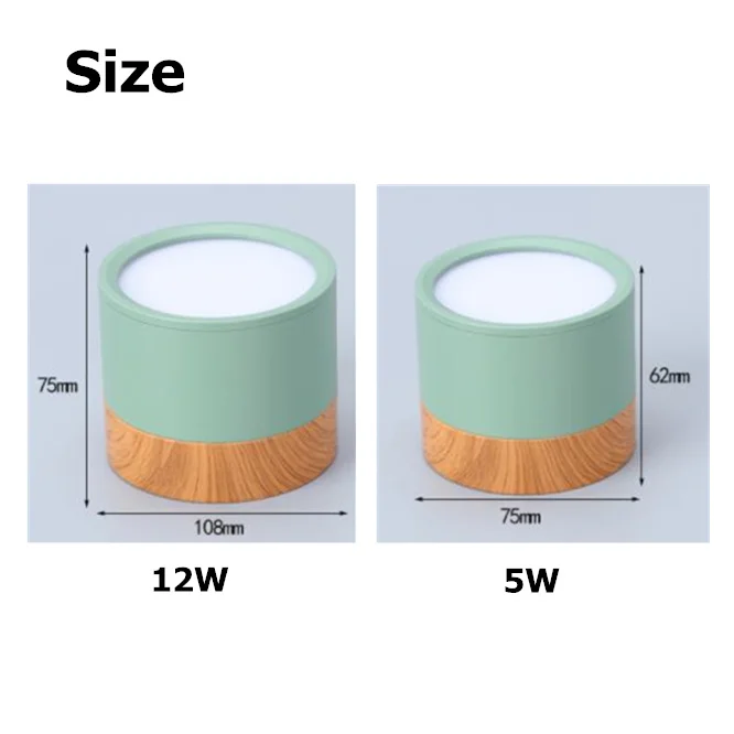 10PCS Surface Mounted 5W/12W LED downlight Ceiling Lamps LED spot lights 220V Ceiling Fixtures Lighting 5 colors down lamp