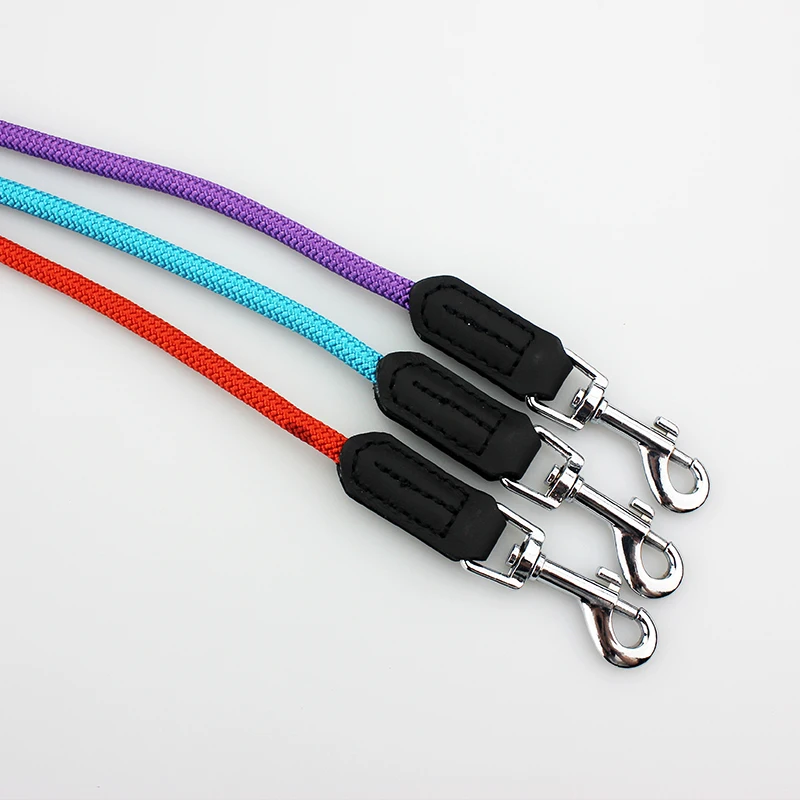 dog leash 3