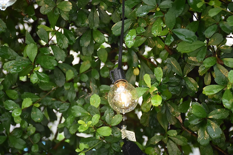 DSC_4514