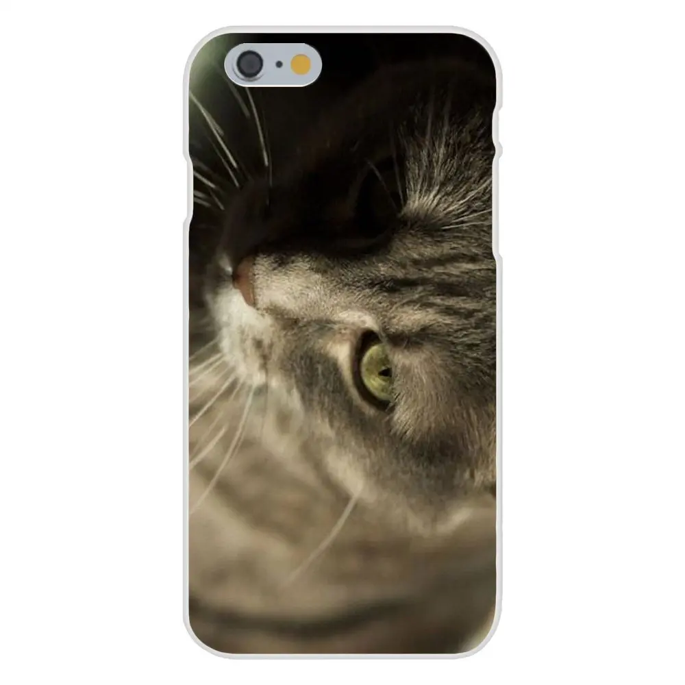 Для Galaxy J1 J2 J3 J330 J4 J5 J6 J7 J730 J8 2015 2016 2017 2018 mini Pro Мягкий ТПУ чехол серый Кот с камерой