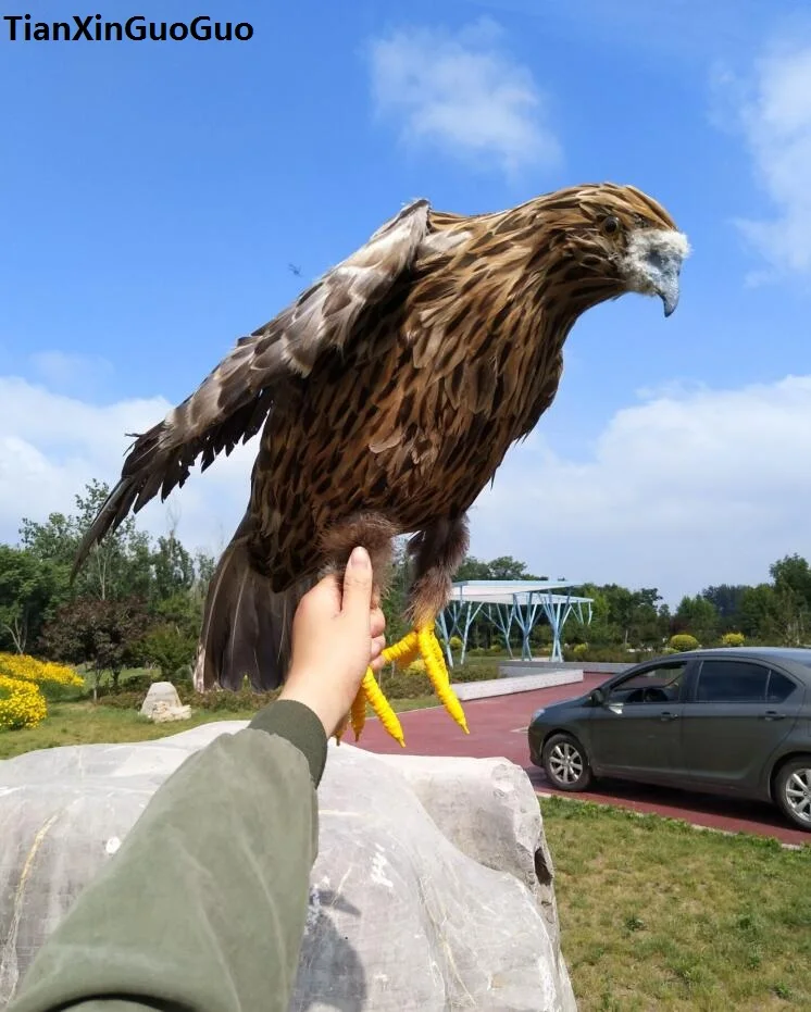 simulation eagle bird hard model brown feathers want-to-open wings eagle large 50cm handicraft garden decoration s1847