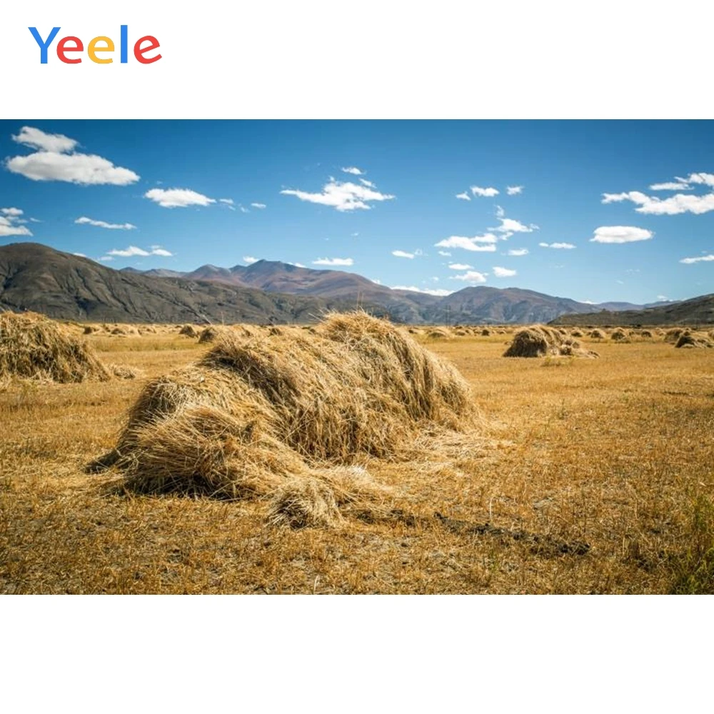 Фоны для фотосъемки Yeele с голубым небом белым облаком сном стоком сена