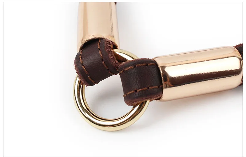 SYDZSW High Quality Dog Leash Pet Traction Rope Double Section Thickening Real Leather Golden Casing Pet Dog Leash Strong Durable5