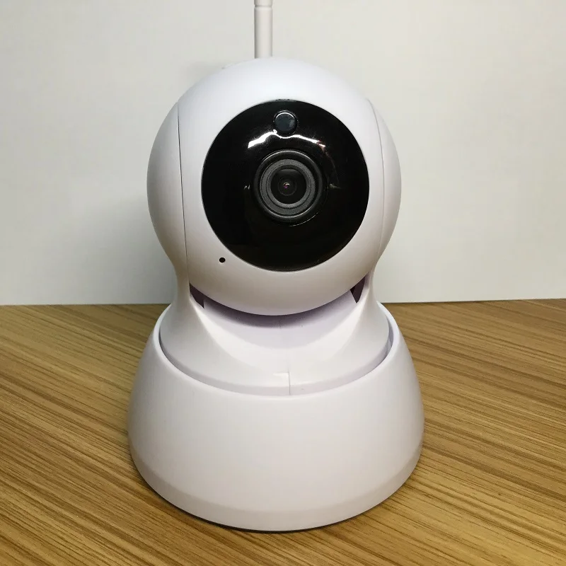 iCSee IP Camera detail