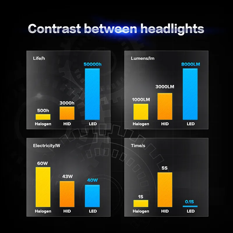 4148430973_1929384159