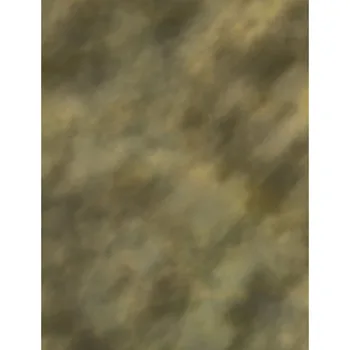 

Customized 10ft grey yellow old master photo backdrop for model photography portrait studio backgrounds