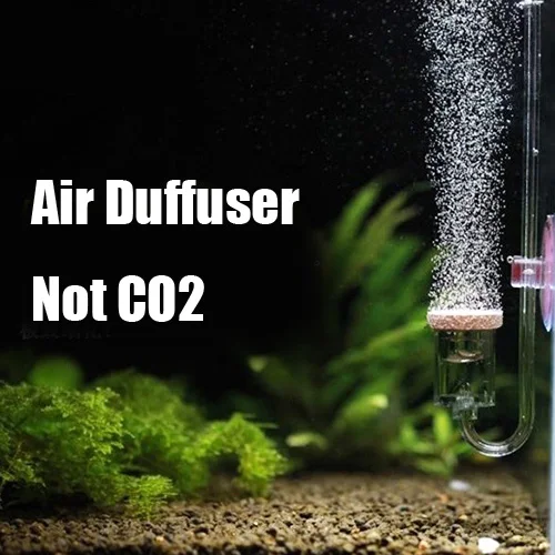 dog crate divider pets at home