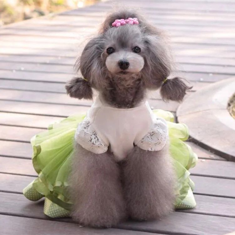 dog wedding dress