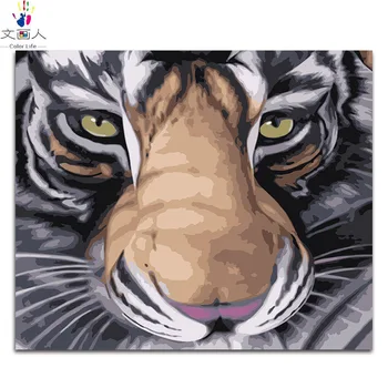 

DIY numbers paints by numbers animals tigers pictures paintings by numbers with kits on canvas for art wall decor 40x50 framed