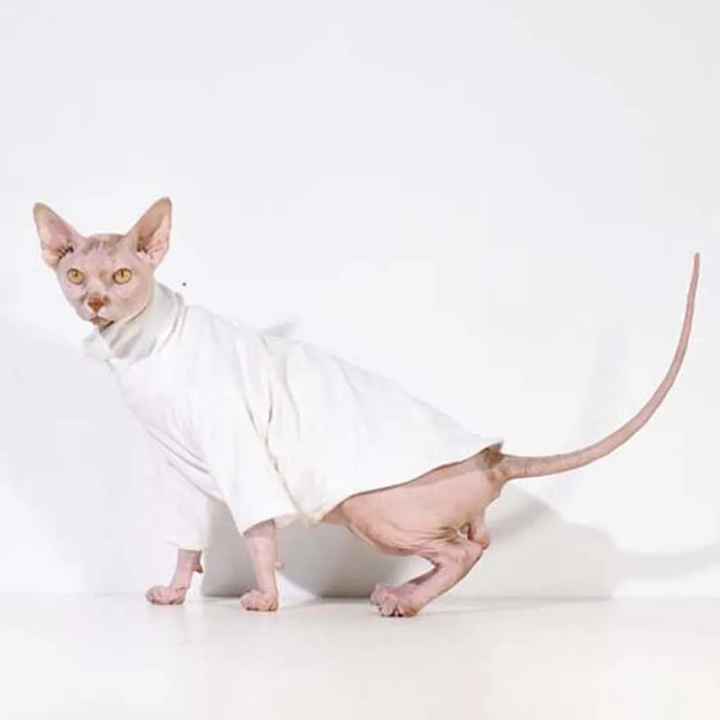 Hairless Sphinx/Одежда для кошек из чистого хлопка; толстовки для кошек с высоким воротником; облегающая блузка с длинным рукавом для осени и зимы; костюм кошки 20E