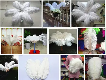 

Explosion models 10PCS / lot feather 15-60CM / 6-24 "inch white ostrich feathers wedding party hair decoration good