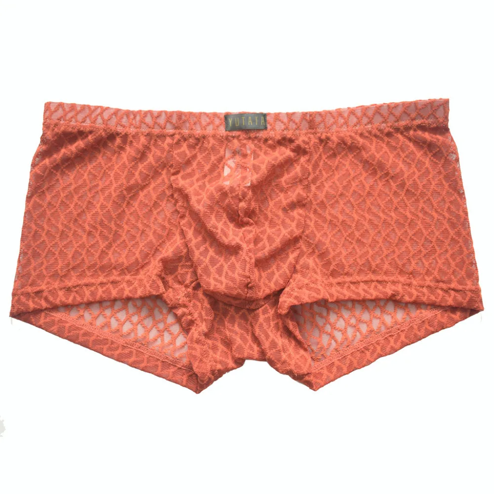 2019 Men's trousers stretch pants transparent lace swimming trunks shorts breathable swimming pants for men underwear boxer 40J9 (8)