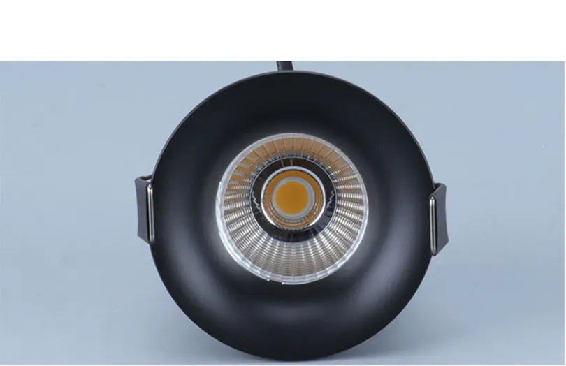 LED downlight (22)