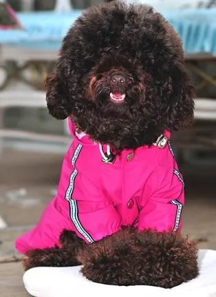 Высококачественные дождевые куртки для собак и кошек, одежда для собак, водонепроницаемые комбинезоны, костюм для щенка, дождевик, комбинезоны с собаками, XXS-XXL