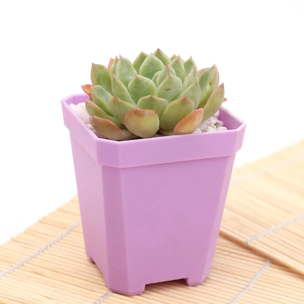 5 Pieces set Succulent  Colorful  Plastic Flower  Pots  