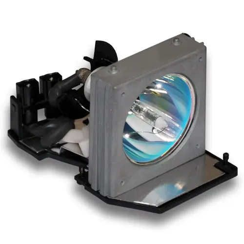 

Free Shipping  Compatible Projector lamp for OPTOMA BL-FP200C