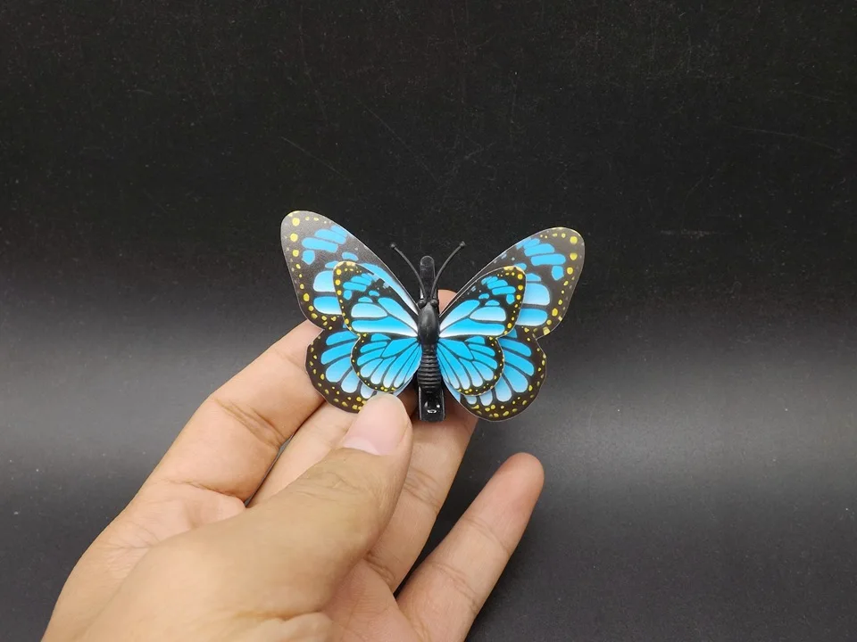 I282-Butterfly (1)