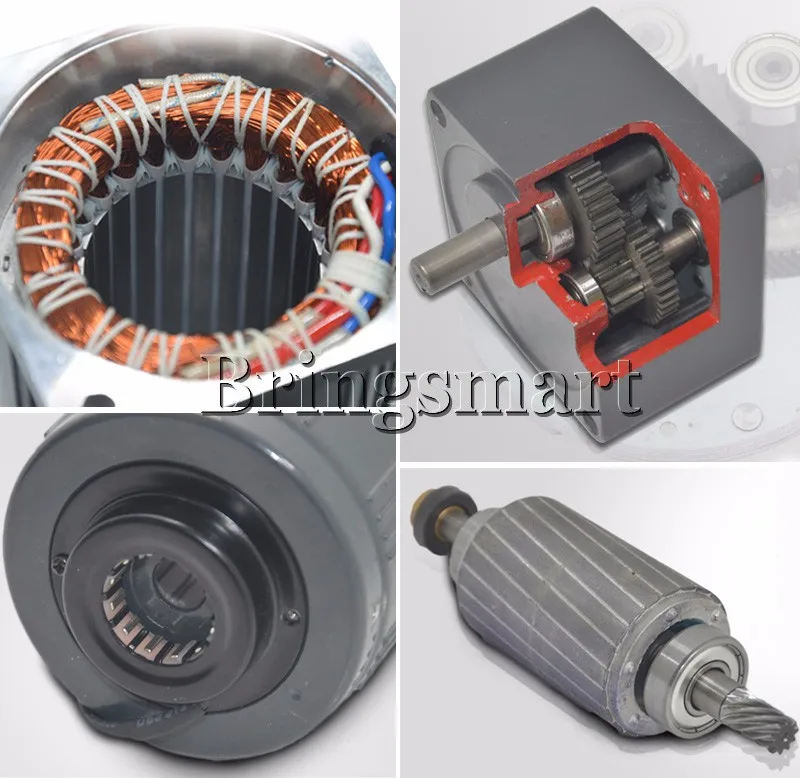 Motor de Engrenagem Monofásico da C.a. v de Bringsmart Velocidade Lenta Reversível Mini Regulamento Alto Torque Micro Motor 6 w 220 2m06gn-c 2 High Quality Renovação da Casa