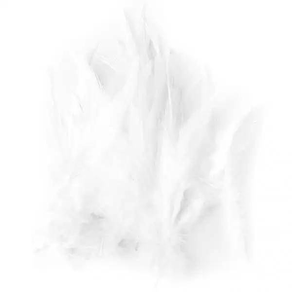 Beautiful Rooster Cock Coque Saddle Feather 3-4 Inch Multi-Purpose Craft Supplies for Clothes Home Decor - White